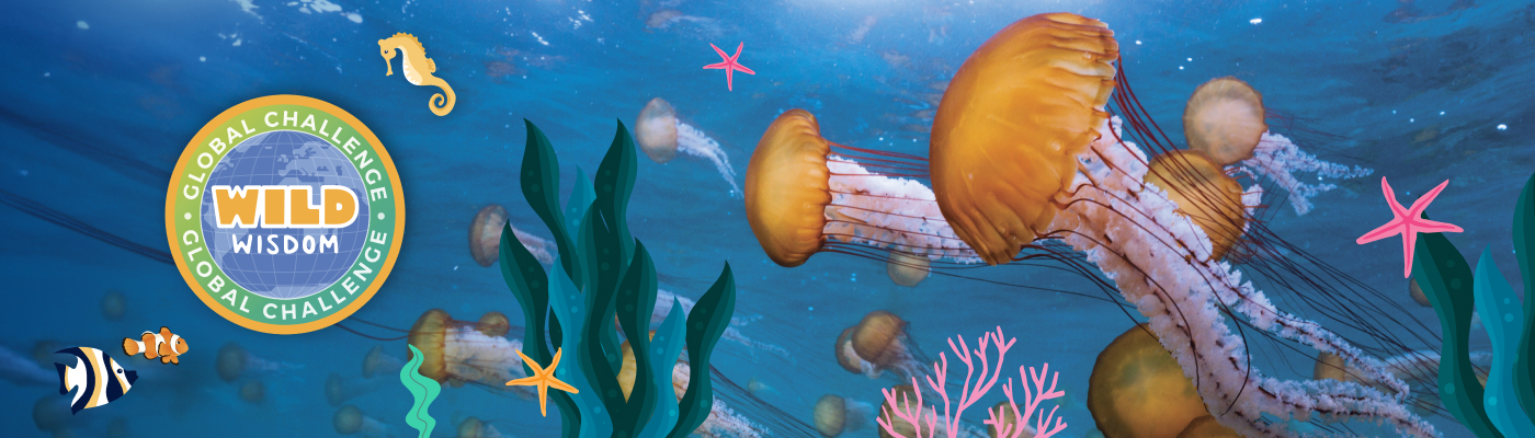 Banner Background