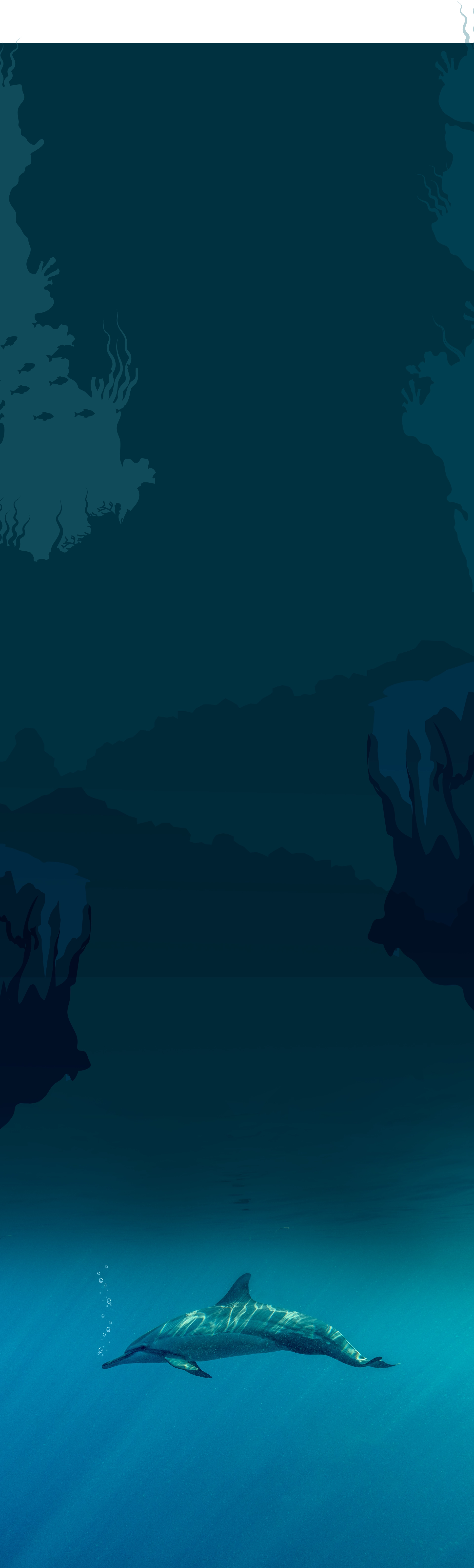 Wild Wisdom Global Challenge Badge