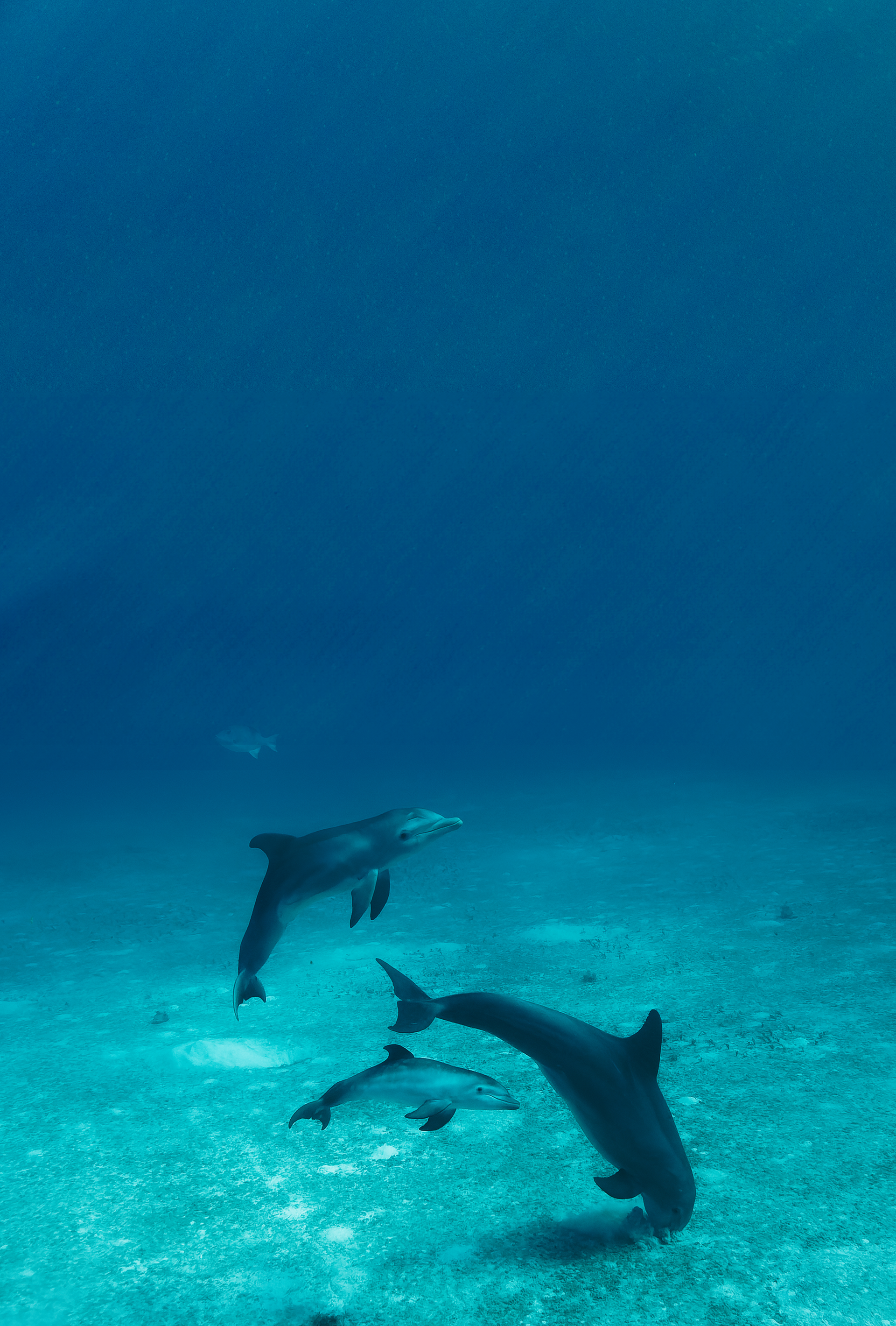 Ocean Depths Background