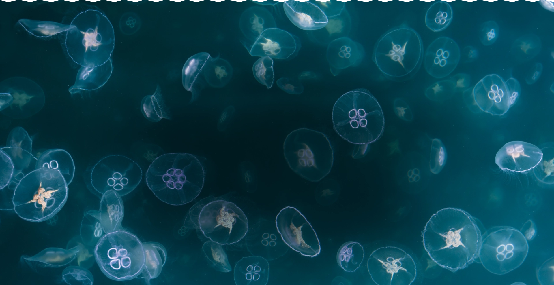 Ocean Depths Background